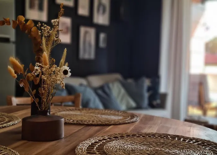 T3 Raisins Apartment Toulouse