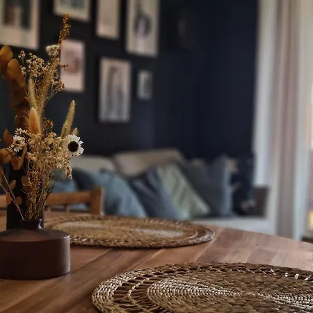 T3 Raisins Apartament Tuluza